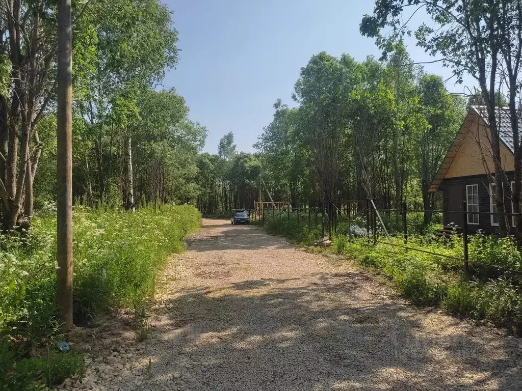 Участок в Ленинградская область, Гатчинский муниципальный округ, д. ... - Фото 1