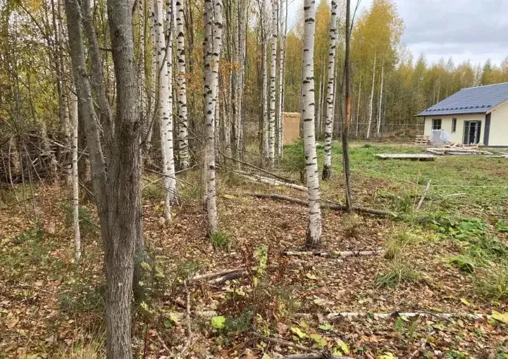 Участок в Пермский край, Добрянский муниципальный округ, д. Бобки  ... - Фото 1