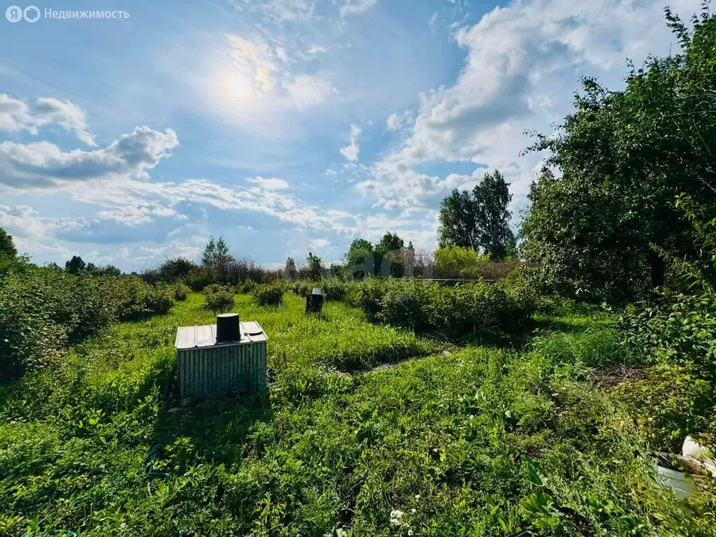 Участок в Челябинск, СНТ Авиатор-2, 14-я улица (9 м) - Фото 1