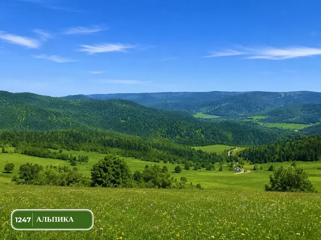 Участок в Алтай, Чемальский район, Элекмонарское с/пос, Седьмое Небо ... - Фото 2