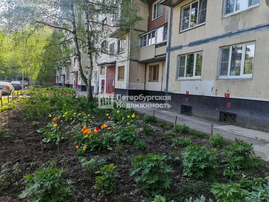 1-комнатная квартира: Колпино, Заводской проспект, 48 (33.7 м) - Фото 2