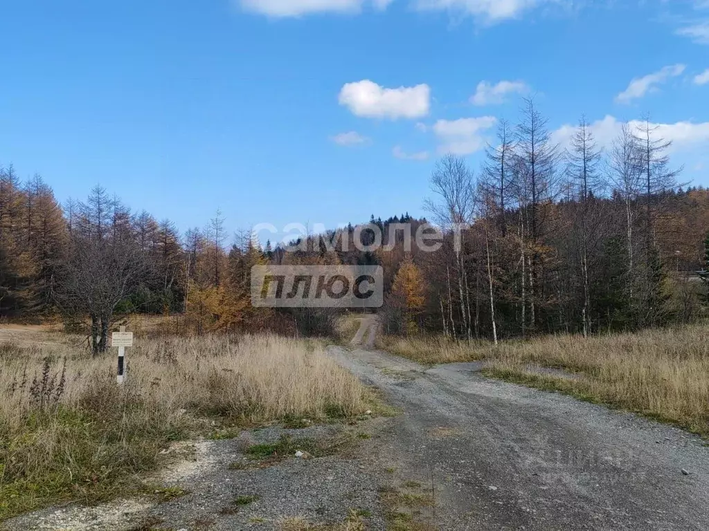 Участок в Сахалинская область, Корсаковский городской округ, с. ... - Фото 1