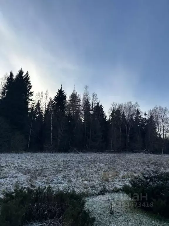 Участок в Московская область, Ступино городской округ, с. Хатунь ул. ... - Фото 1