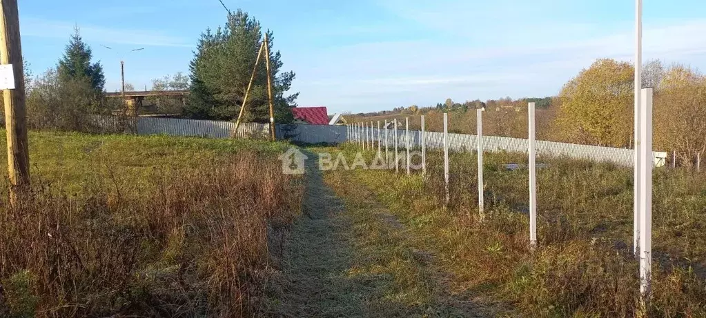 Участок в Вологодская область, д. Лавкино ул. Северная (18.0 сот.) - Фото 1