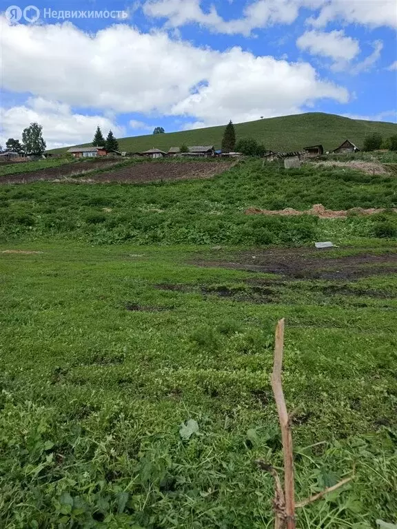 Участок в Алтайский район, село Нижнекаянча (15 м) - Фото 1