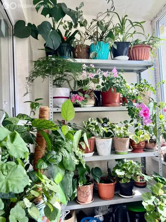 3-комнатная квартира: Краснодар, микрорайон Юбилейный, проспект ... - Фото 2