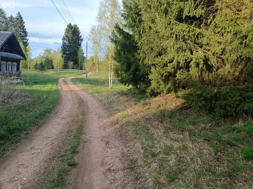 Участок в деревня Волосково, 115А (31 м) - Фото 2