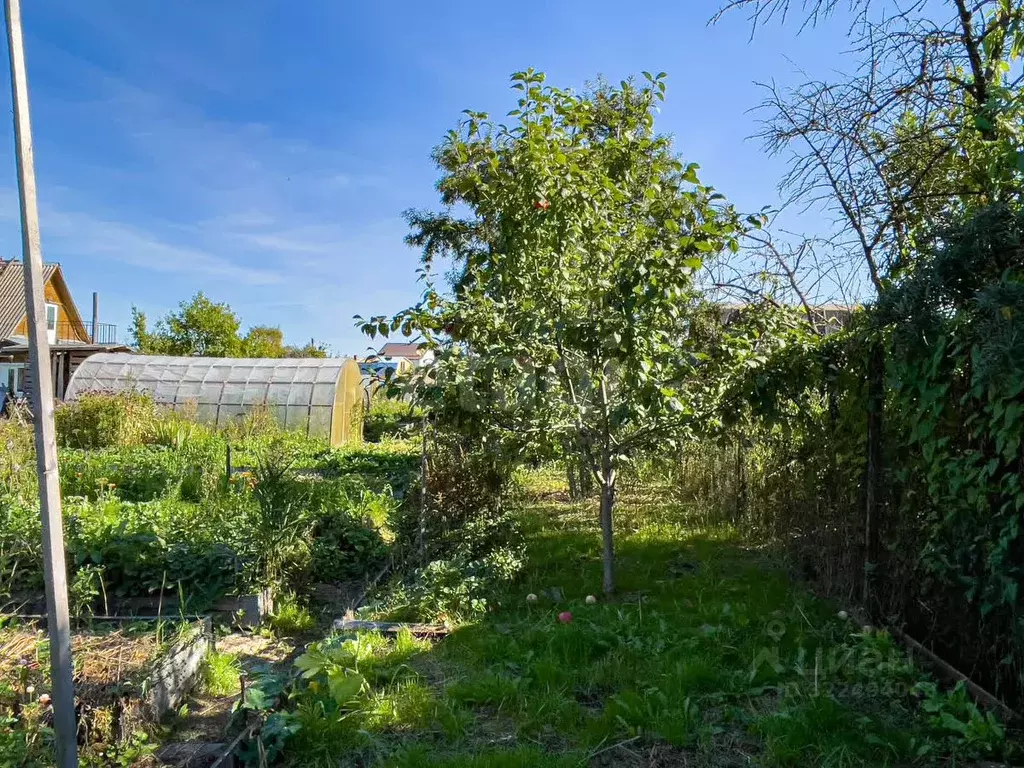 Дом в Вологодская область, Вологда Ручеек садоводческое товарищество,  ... - Фото 2