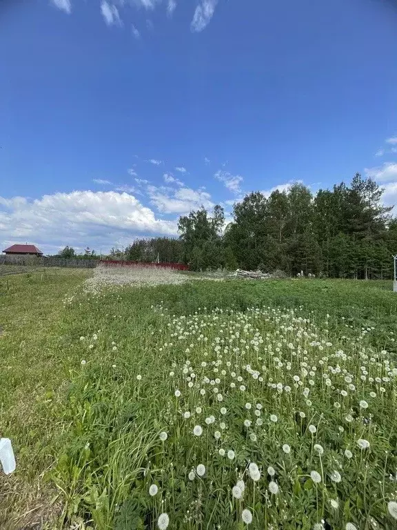 Участок в Свердловская область, Полевской городской округ, с. Косой ... - Фото 1