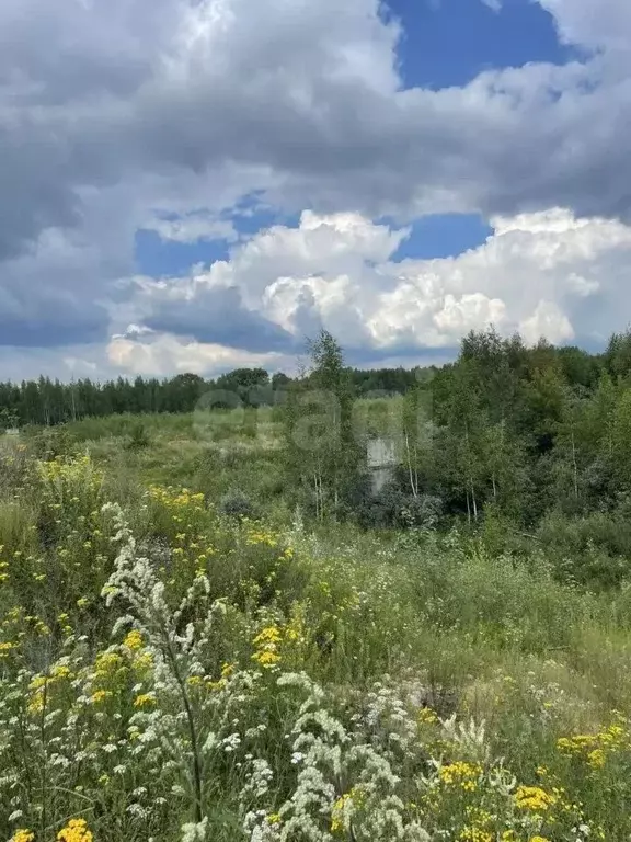 Участок в Ярославская область, Ярославль Волгостроевская наб. (512.0 ... - Фото 2