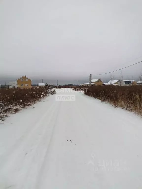 Участок в Нижегородская область, Бор городской округ, д. Каликино ул. ... - Фото 1