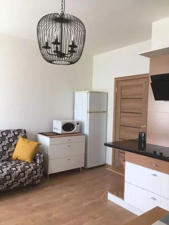 Студия Санкт-Петербург Усть-Славянка тер., ул. Заводская, 15 (25.0 м) - Фото 1