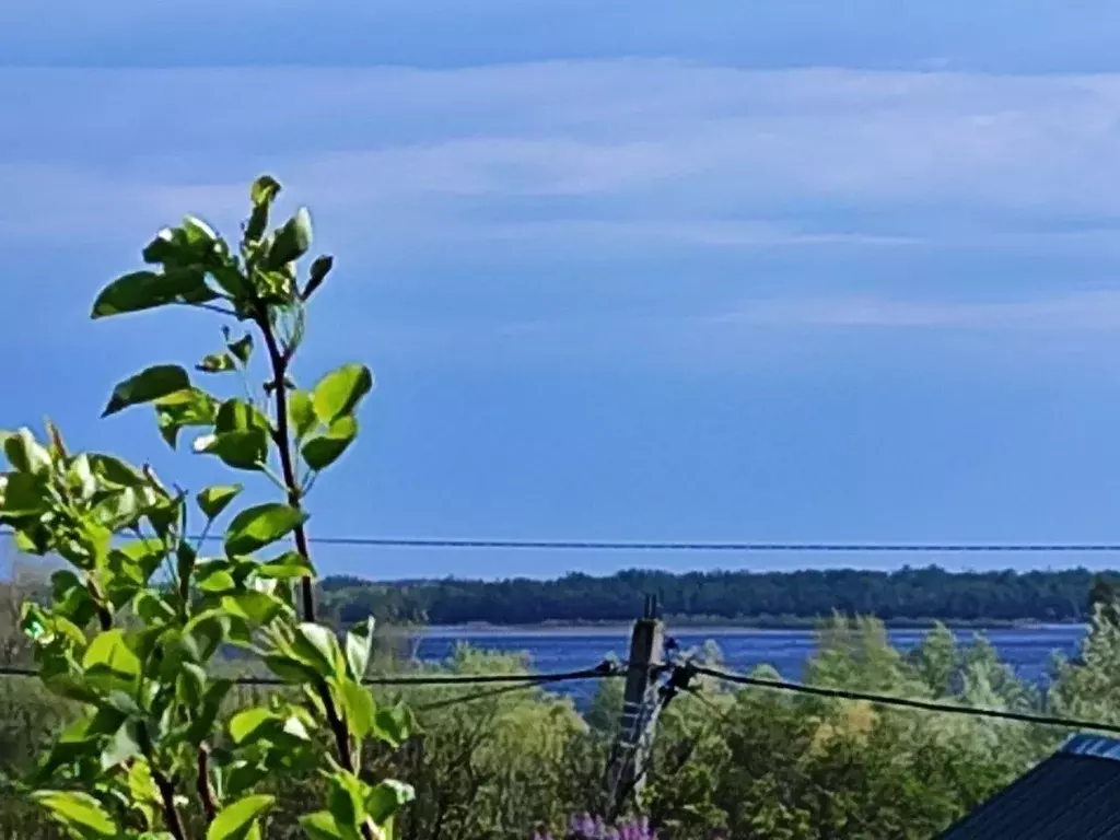 Дом в Саратовская область, Воскресенский район, Елшанское ... - Фото 2