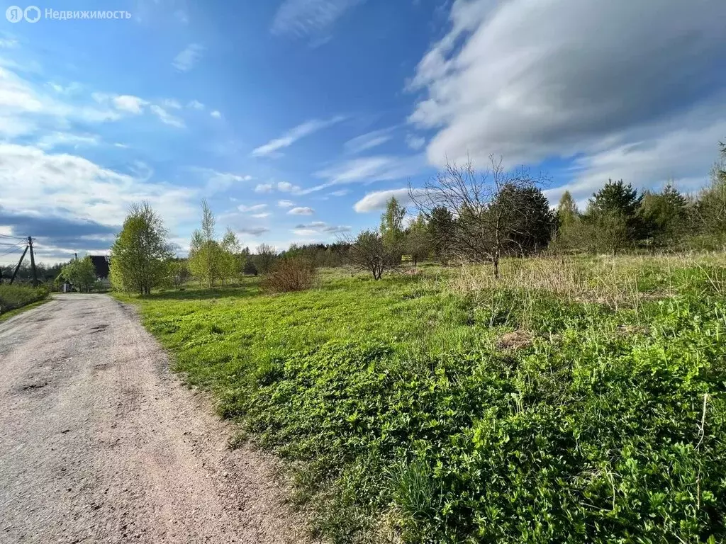 Участок в деревня Светлое, Садовая улица, 44 (21 м) - Фото 2