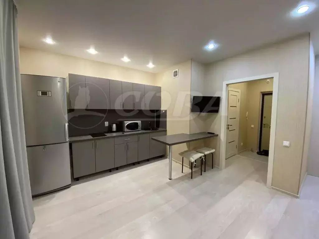 Студия Тюменская область, Тюмень ул. Дмитрия Менделеева, 2 (30.0 м) - Фото 2