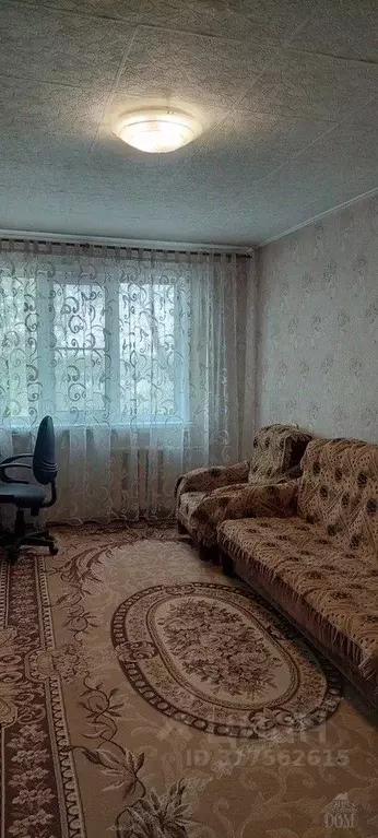 2-к кв. Еврейская автономная область, Биробиджан Осенняя ул., 37 (43.9 ... - Фото 1