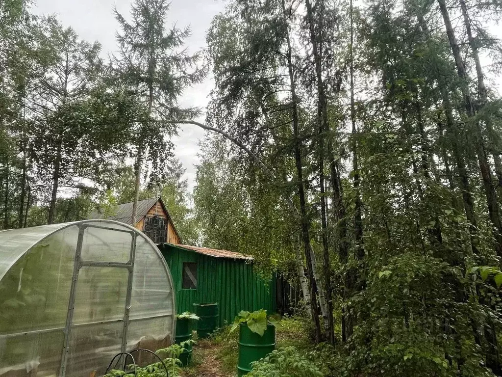 Дом в Саха (Якутия), Якутск городской округ, с. Маган  (55 м) - Фото 0