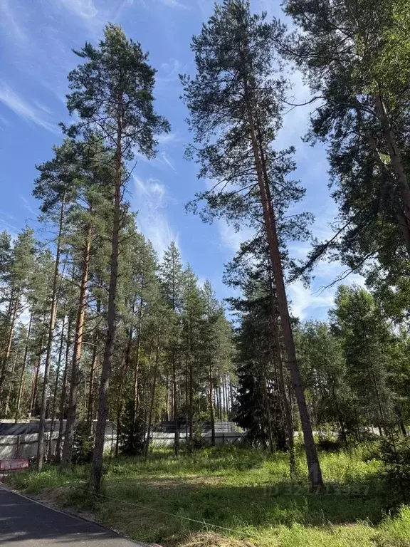 Участок в Санкт-Петербург пос. Репино, Большой просп. (13.0 сот.) - Фото 0
