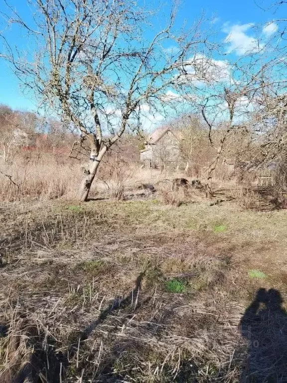 Участок в Калининградская область, Балтийск Урожай Балтийска СНТ, ул. ... - Фото 1