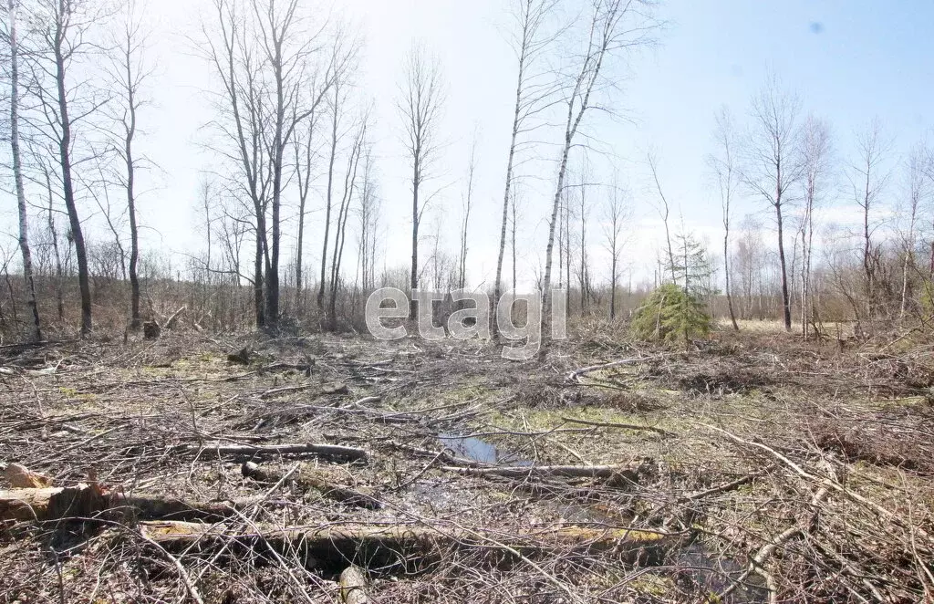 Участок в Калужская область, Малоярославецкий муниципальный округ, ... - Фото 1