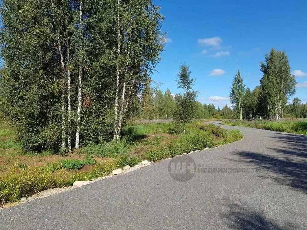 Участок в Ленинградская область, Всеволожский район, Куйвозовское ... - Фото 1