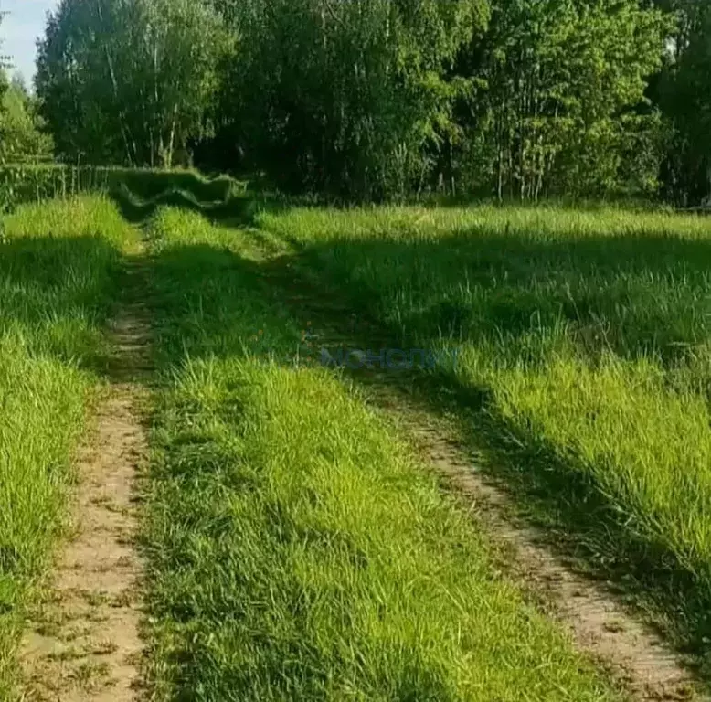 Участок в Нижегородская область, Чкаловск городской округ, с. ... - Фото 1