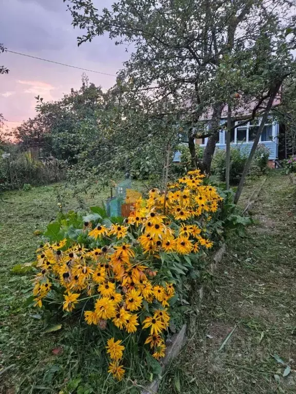 Дом в Тульская область, Тула 40 лет Октября СНТ, 45 (38 м) - Фото 1