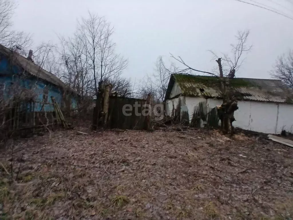 Участок в Белгородская область, Валуйский муниципальный округ, с. ... - Фото 0