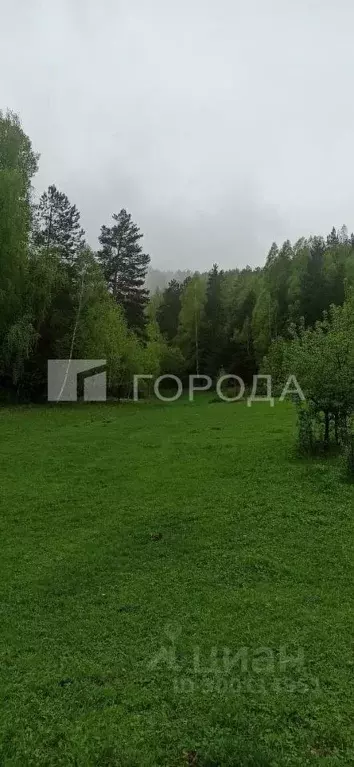 Участок в Алтайский край, Смоленский район, с. Черновая Центральная ... - Фото 1
