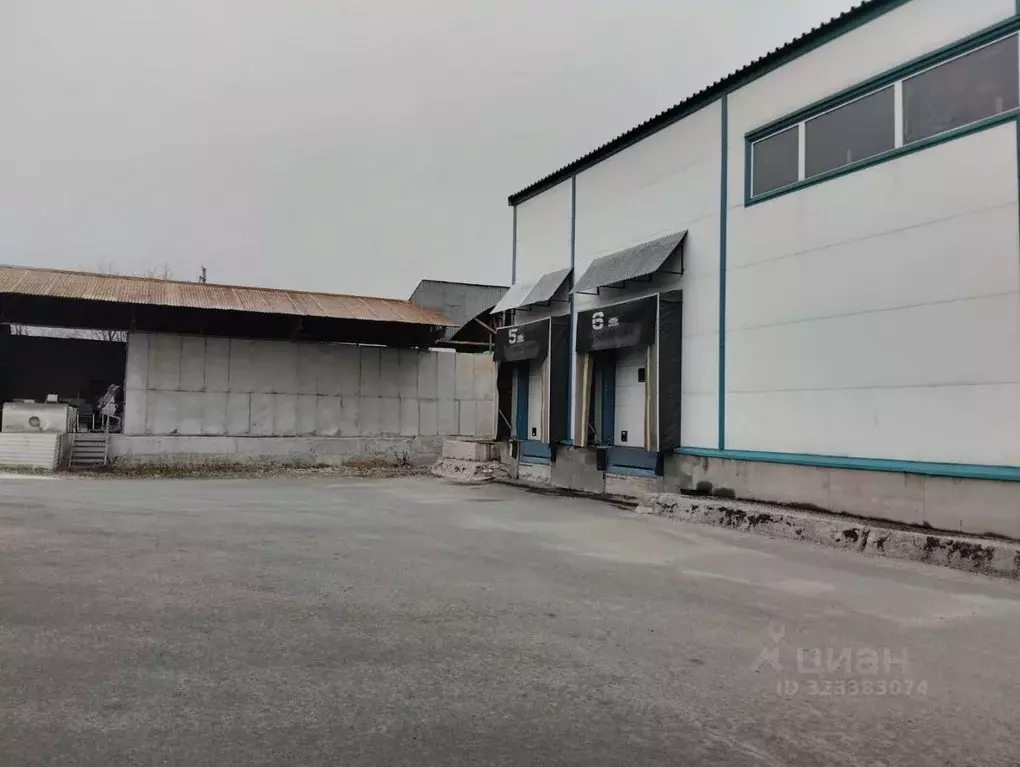 Склад в Свердловская область, Березовский Территория Западная ... - Фото 2