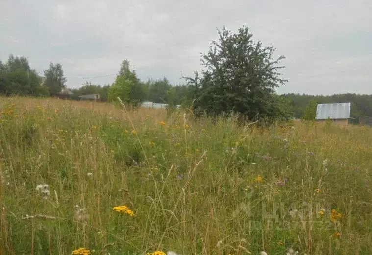 Участок в Московская область, Дмитровский муниципальный округ, д. ... - Фото 1