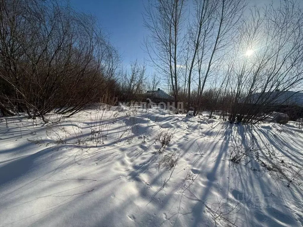 Дом в Новосибирская область, Новосибирск 2-я Водонасосная ул. (39 м) - Фото 1