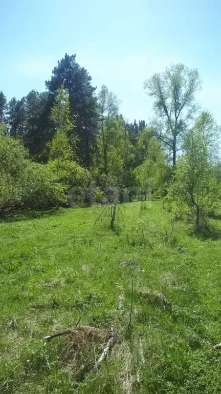 Участок в Алтай, Шебалинский район, с. Камлак  (15.0 сот.) - Фото 1