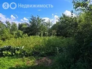 Участок в Ярославская область, Некрасовский муниципальный округ, ... - Фото 1