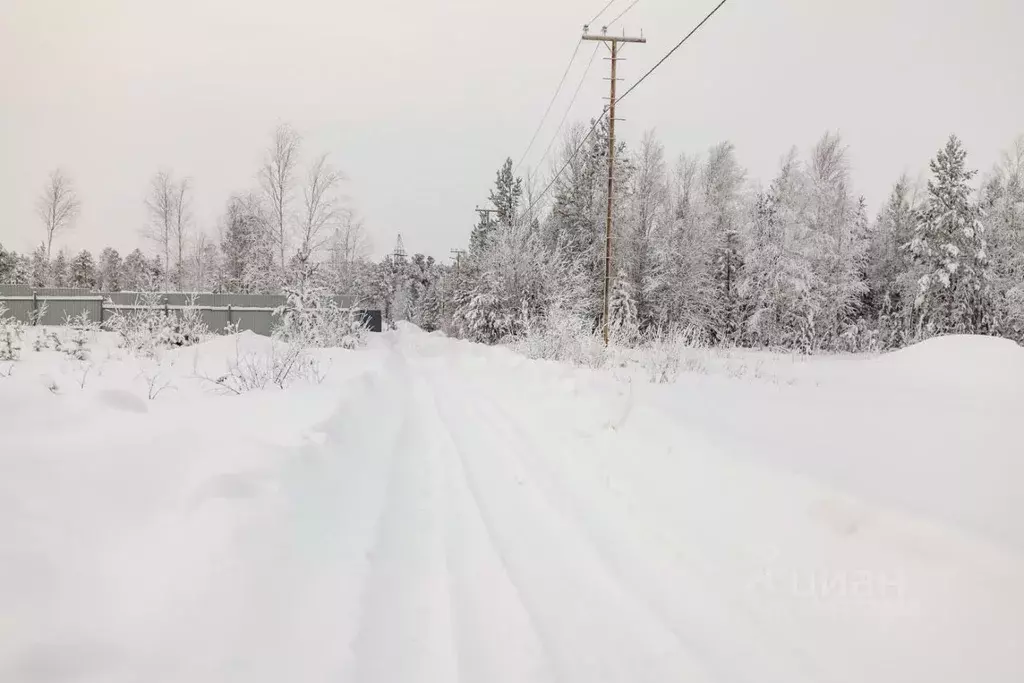 Участок в Ханты-Мансийский АО, Сургутского муниципального района тер., ... - Фото 1