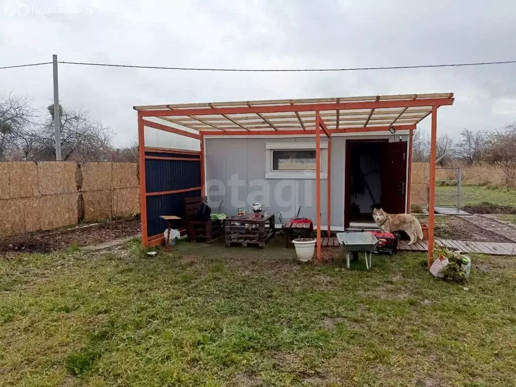 Участок в Калининградская область, Багратионовский муниципальный ... - Фото 1