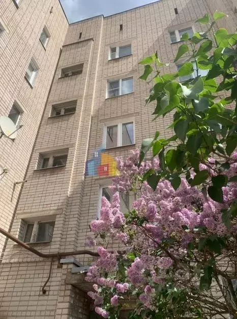 3-к кв. Тульская область, Тула городской округ, пос. Шатск ул. ... - Фото 1