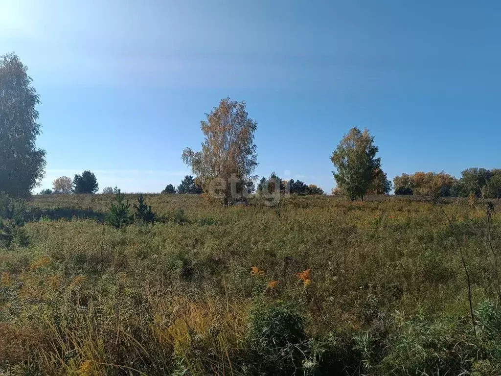 Участок в Алтайский край, Бийский район, Зверовод садовое дачное ... - Фото 1