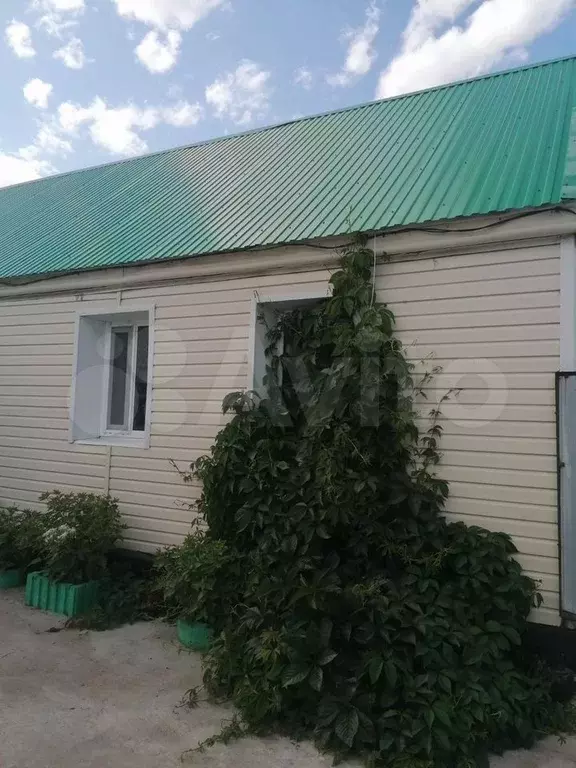 Дом 60,8 м на участке 3,7 сот. - Фото 1