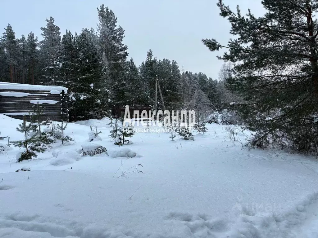 Дом в Ленинградская область, Приозерск 3-й Поселок кв-л, ул. ... - Фото 1