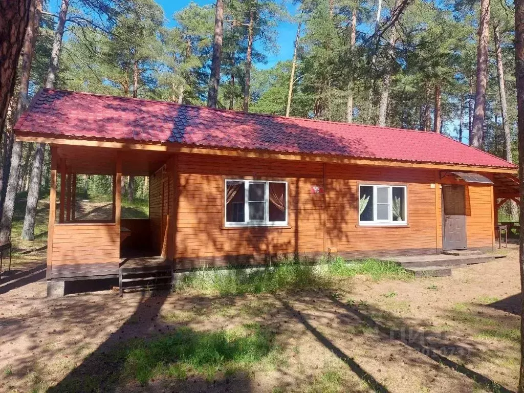 Дом в Ленинградская область, Сосновый Бор  (60 м) - Фото 1