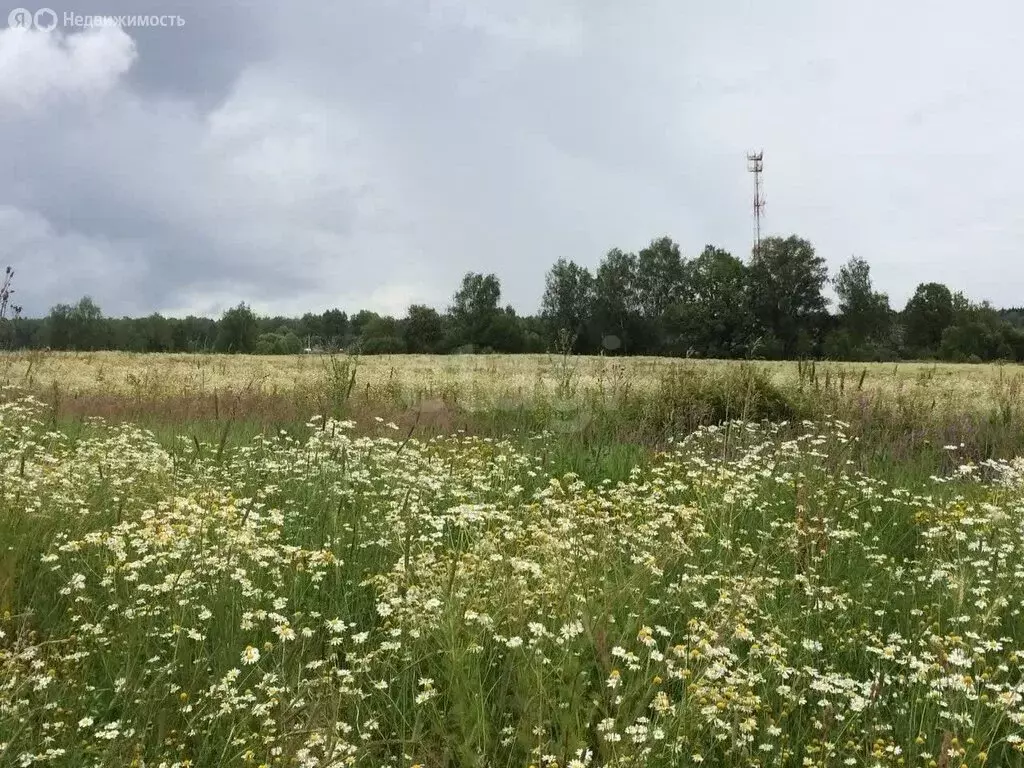 Участок в Мылинское сельское поселение, деревня Фроловка (11.57 м) - Фото 1