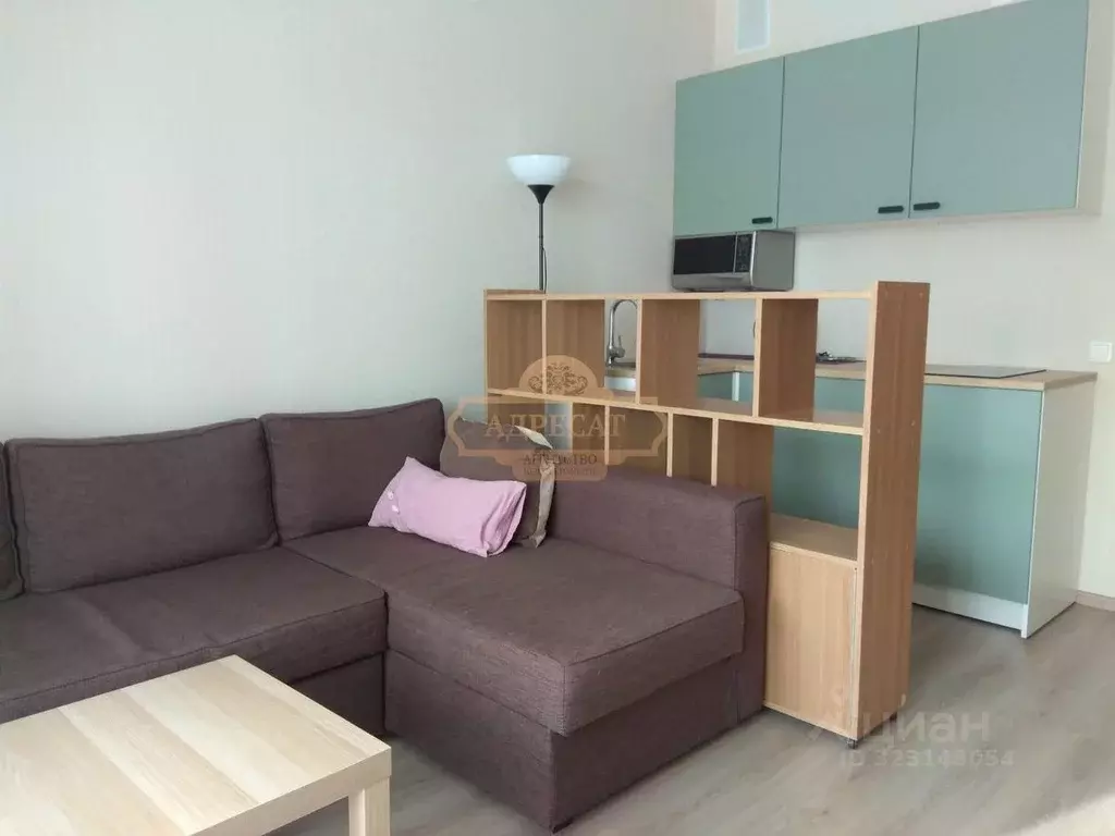 Студия Санкт-Петербург пос. Парголово, Заречная ул., 15к1 (22.1 м) - Фото 1