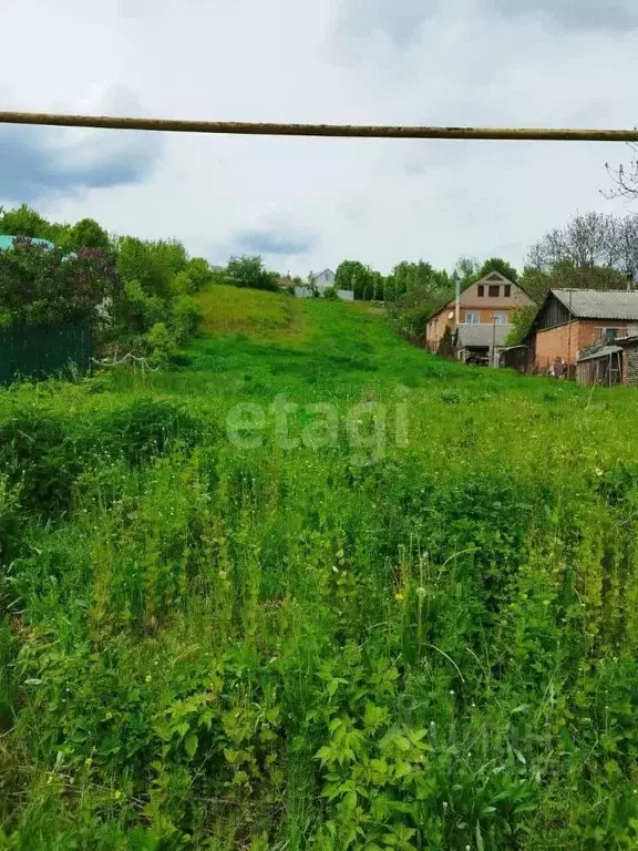 Участок в Воронежская область, Рамонь рп ул. Чернышова (23.3 сот.) - Фото 0