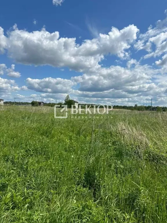 Участок в Костромская область, Кострома Соколиное Гнездо кп, 1 (8.3 ... - Фото 0