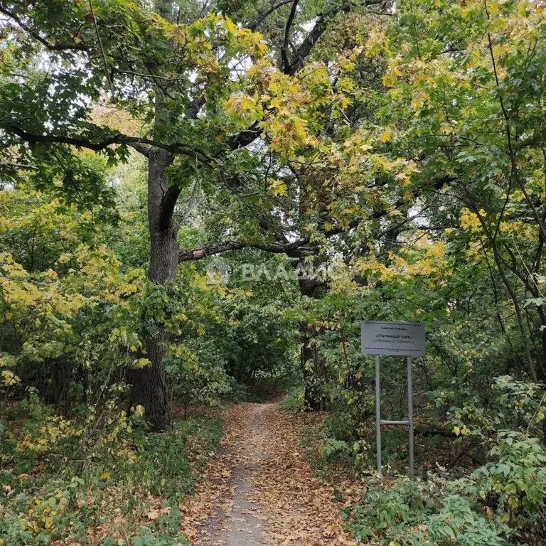 Дом в Воронежская область, Рамонский район, Айдаровское с/пос, с. ... - Фото 1