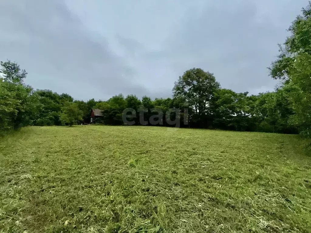 Дом в Приморский край, Надеждинский район, пос. Кипарисово 2-е ул. ... - Фото 1