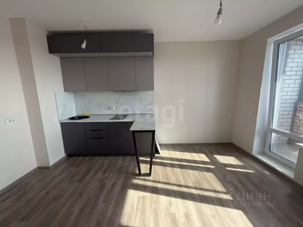 Студия Воронежская область, Воронеж ул. Саврасова, 86 (23.4 м) - Фото 1