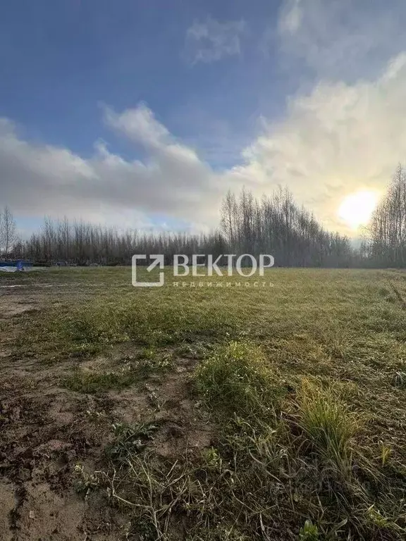 Участок в Костромская область, Костромской район, Середняковское ... - Фото 2