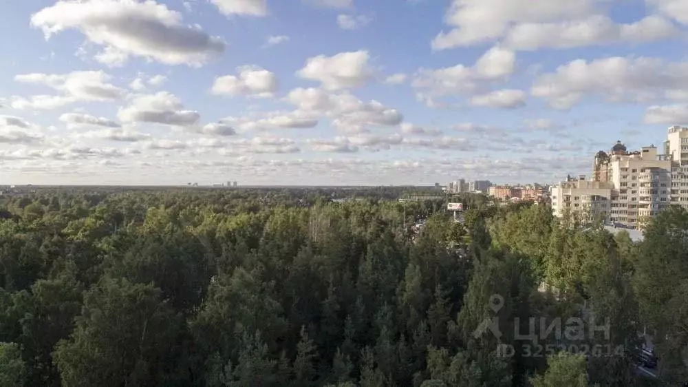 Студия Ярославская область, Ярославский муниципальный округ, пос. ... - Фото 1